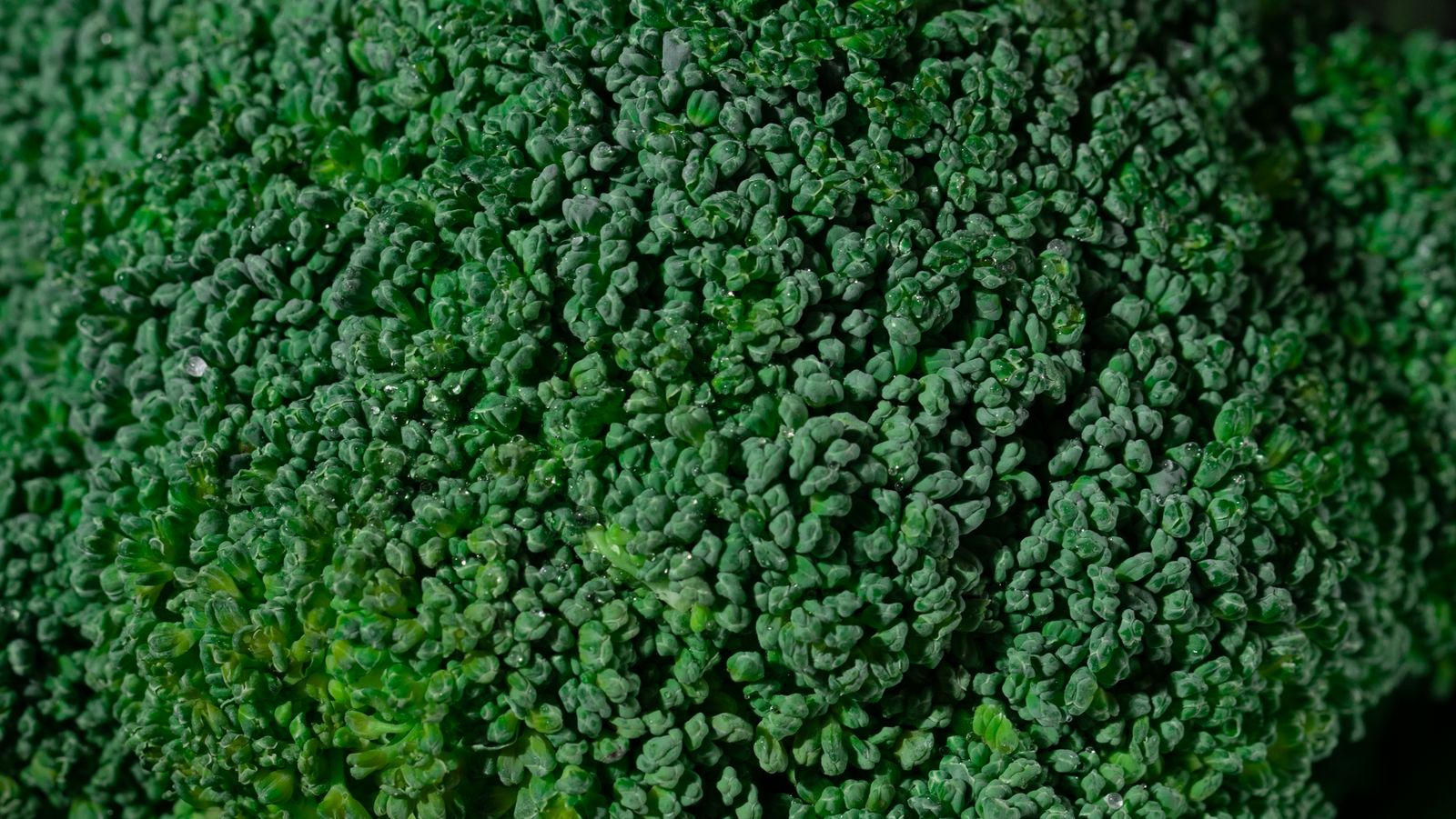 Close-up of fresh broccoli heads — photo by Mikhail Nilov on Pexels