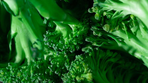 Vibrant close-up of fresh green broccoli florets showcasing lush textures.