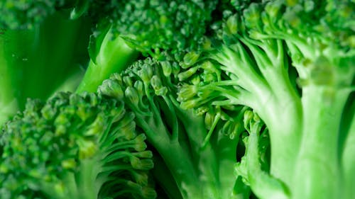Gratis stockfoto met achtergrond, biologisch, broccoli Stockfoto
