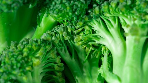 Free Macro shot of fresh green broccoli showcasing texture and vibrant color. Perfect for healthy eating concepts. Stock Photo