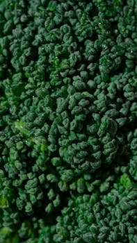 fresh broccoli florets image 4