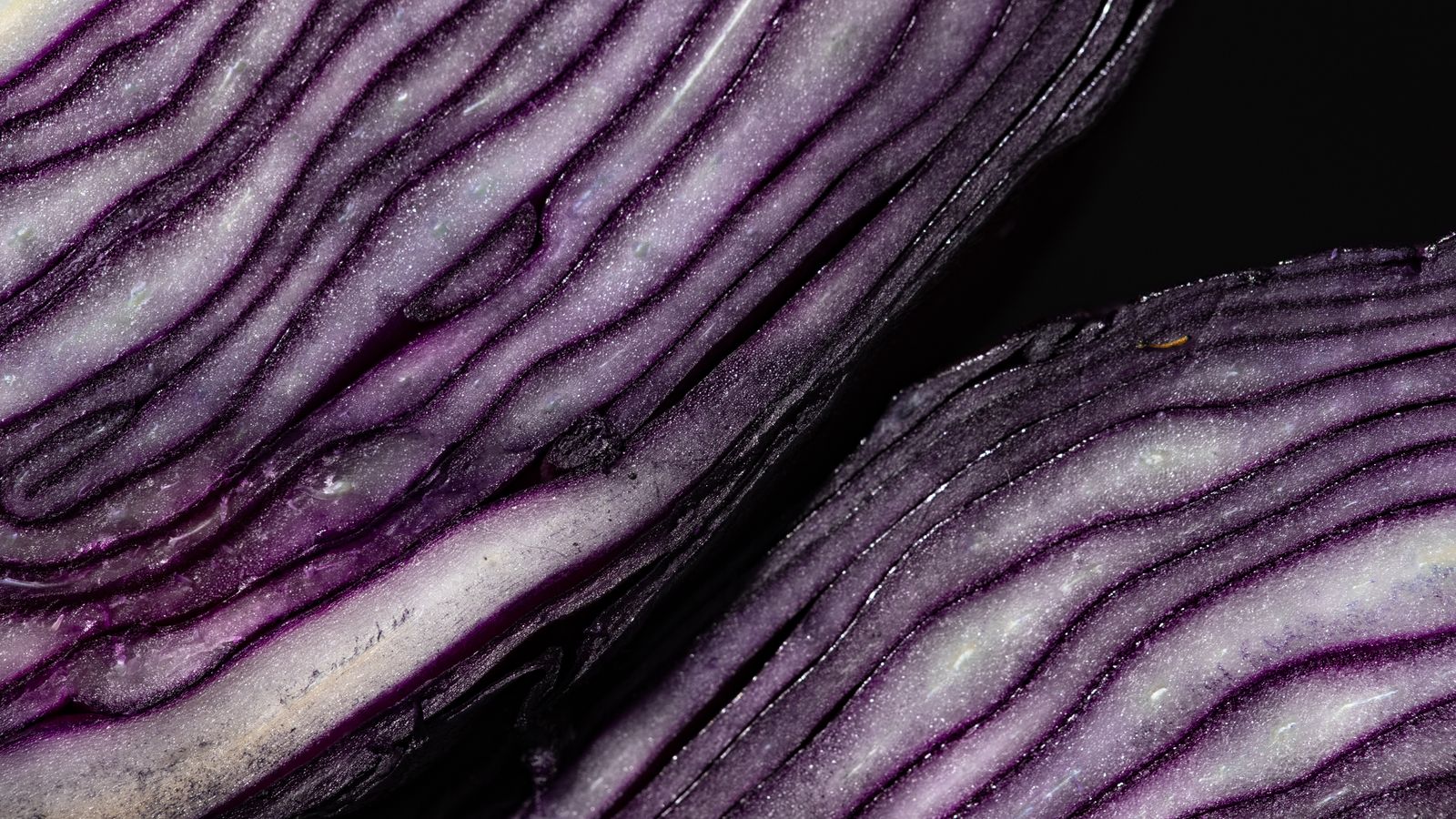 Extreme macro of sliced red cabbage against a black background, showing tightly packed rippling purple and white layers with pale branching veins running through them