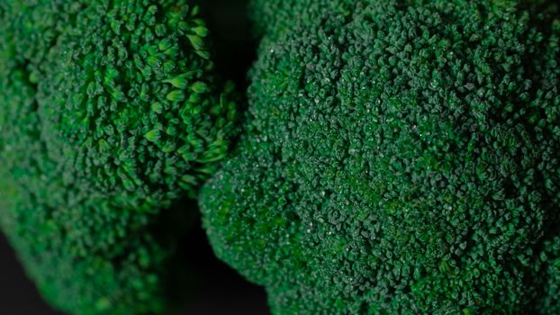 Green Plant in Close Up Photography