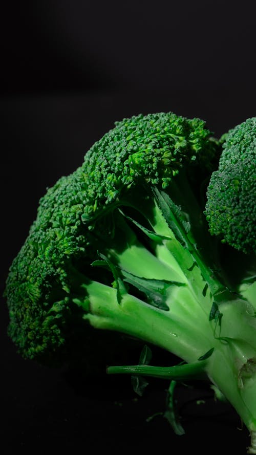 Green Broccoli in Close-up photography