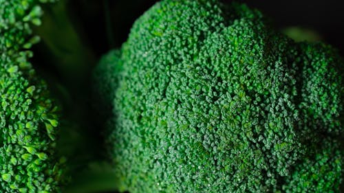 Gratis stockfoto met broccoli, extreem close-up shot, groente