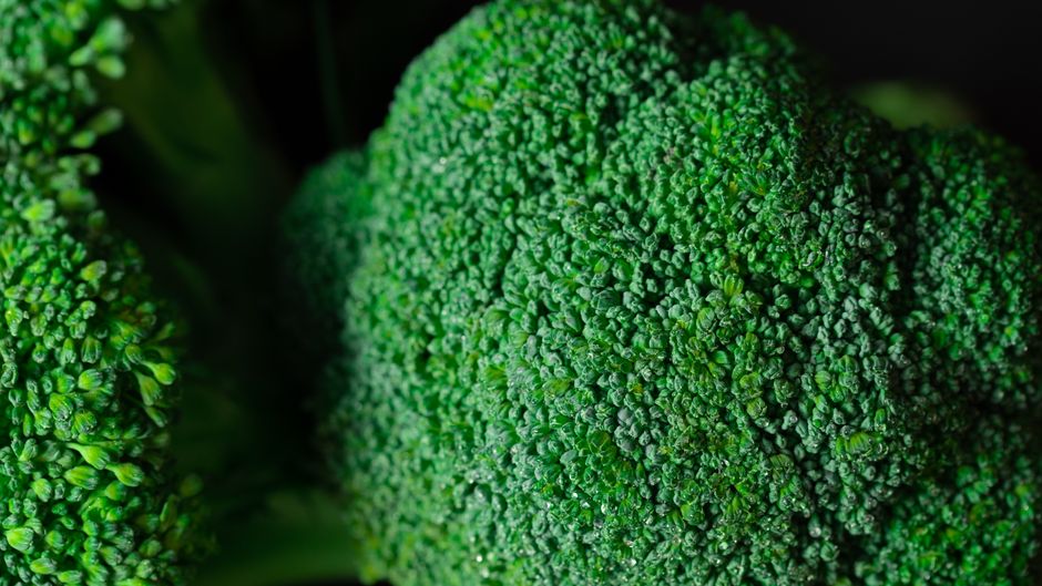 Ostéoporose alimentation