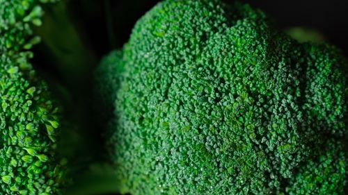 Free Detailed macro image of broccoli showing vibrant green texture and natural pattern. Stock Photo