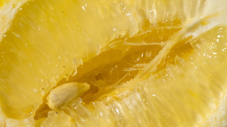 Macro Shot Of Lemon