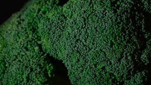 Broccoli Florets in Close-up Photography