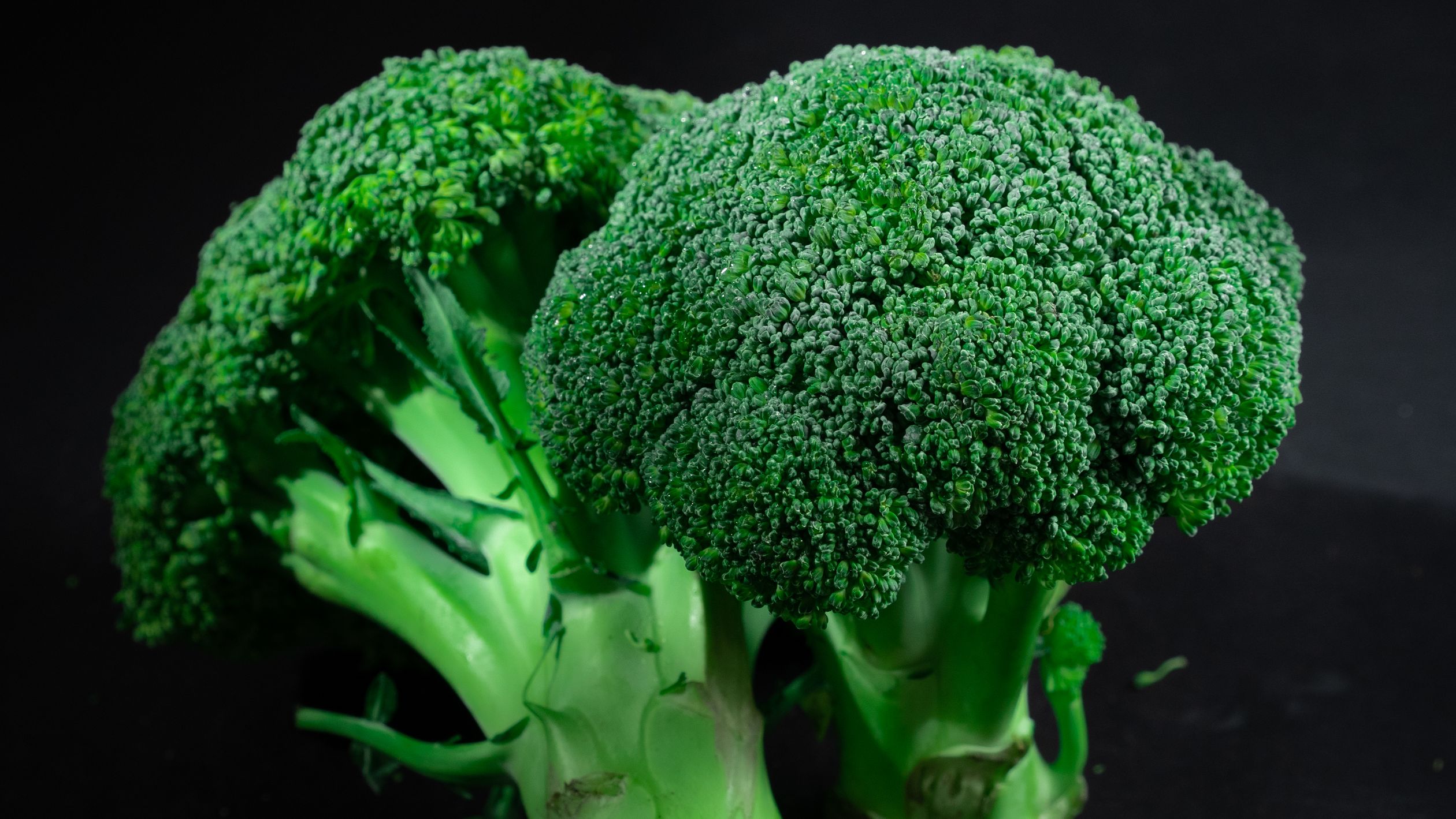 Green Broccoli in Close Up Photography · Free Stock Photo