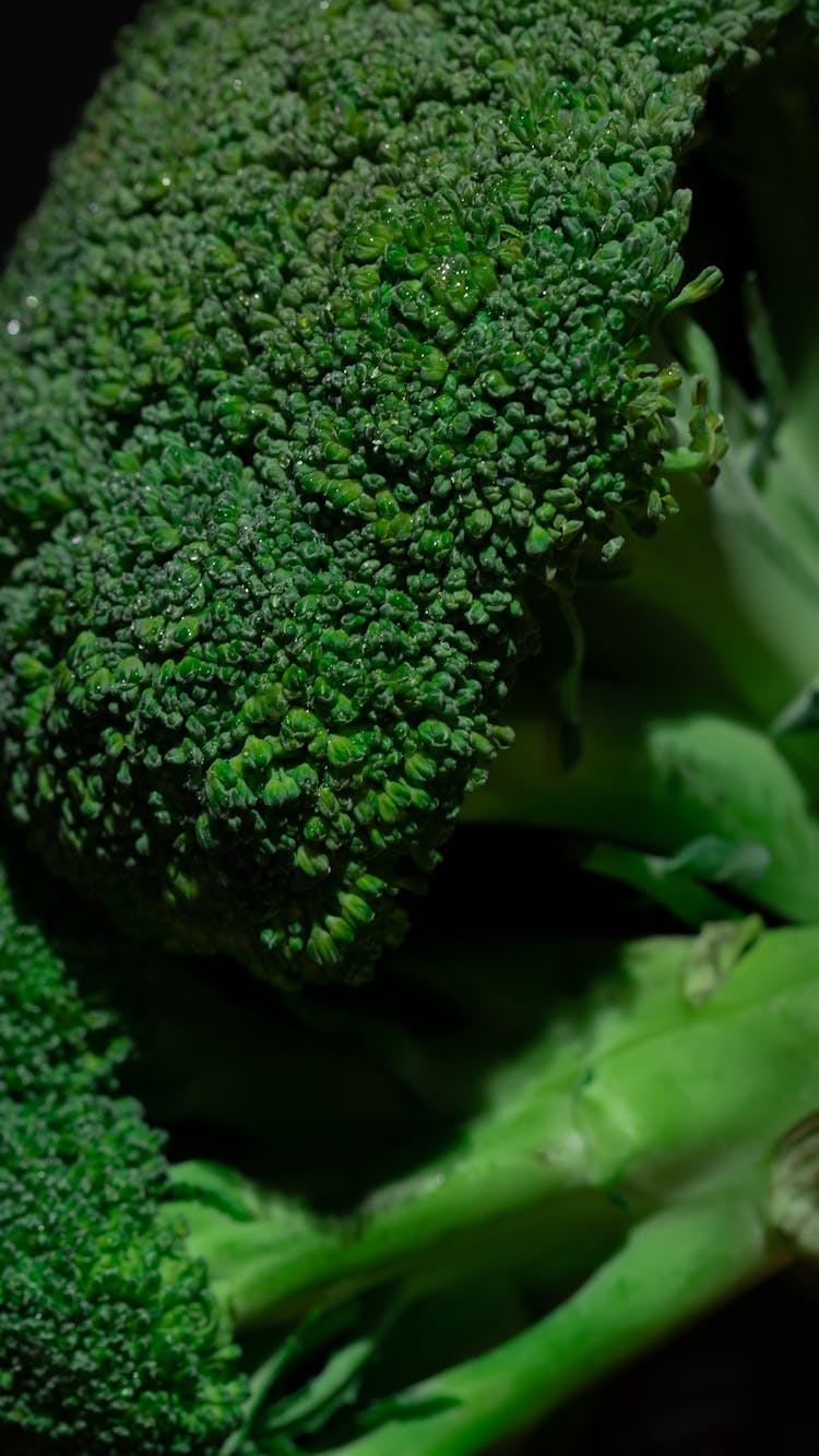 Green Vegetable In Close Up Photography