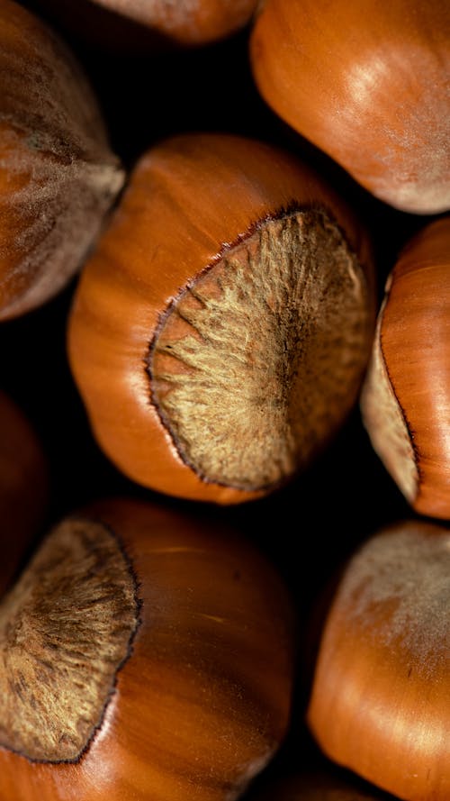 Chestnuts in Close-up Shot