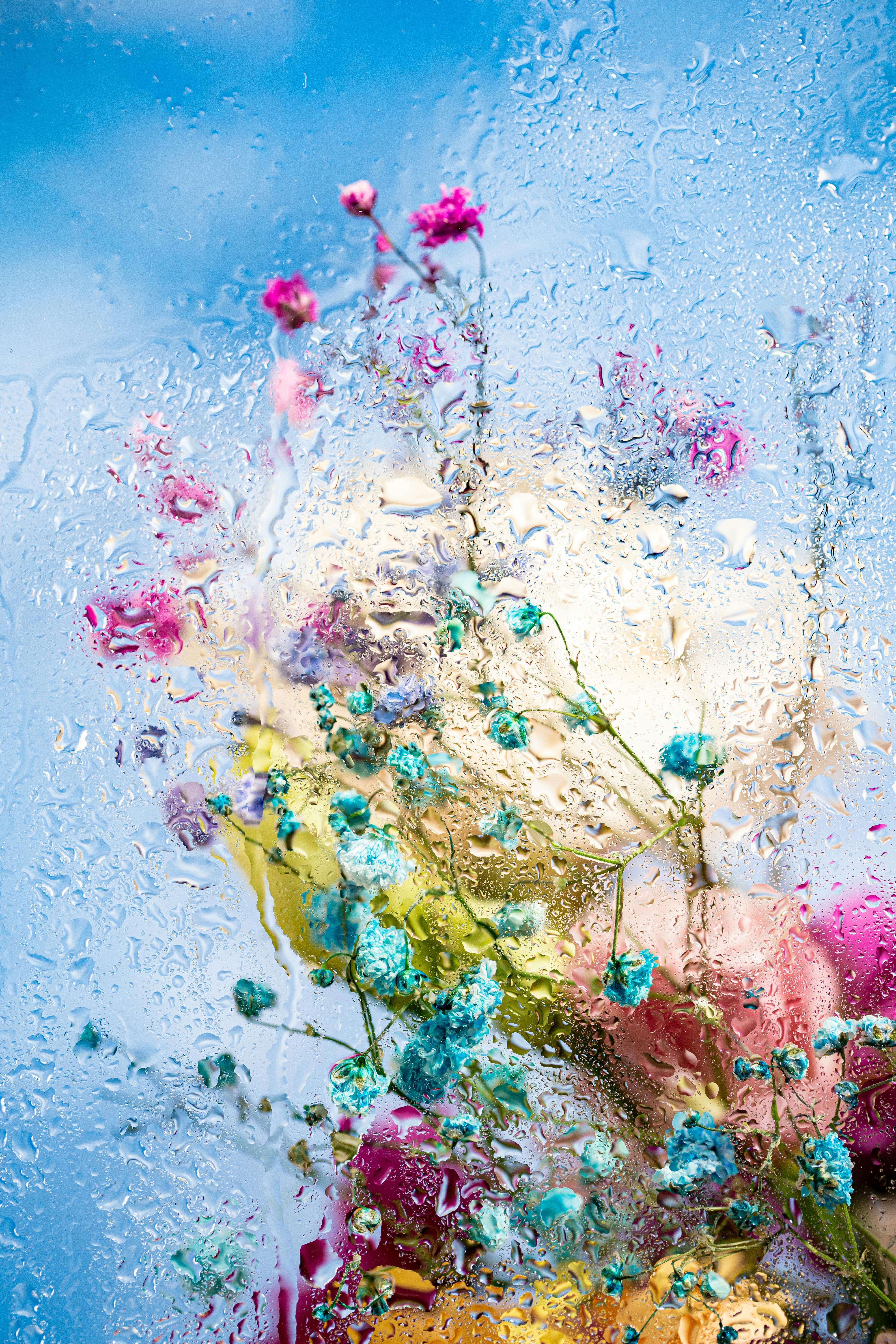 Flowers Behind a Glass Panel with Water Droplets  Free Stock Photo