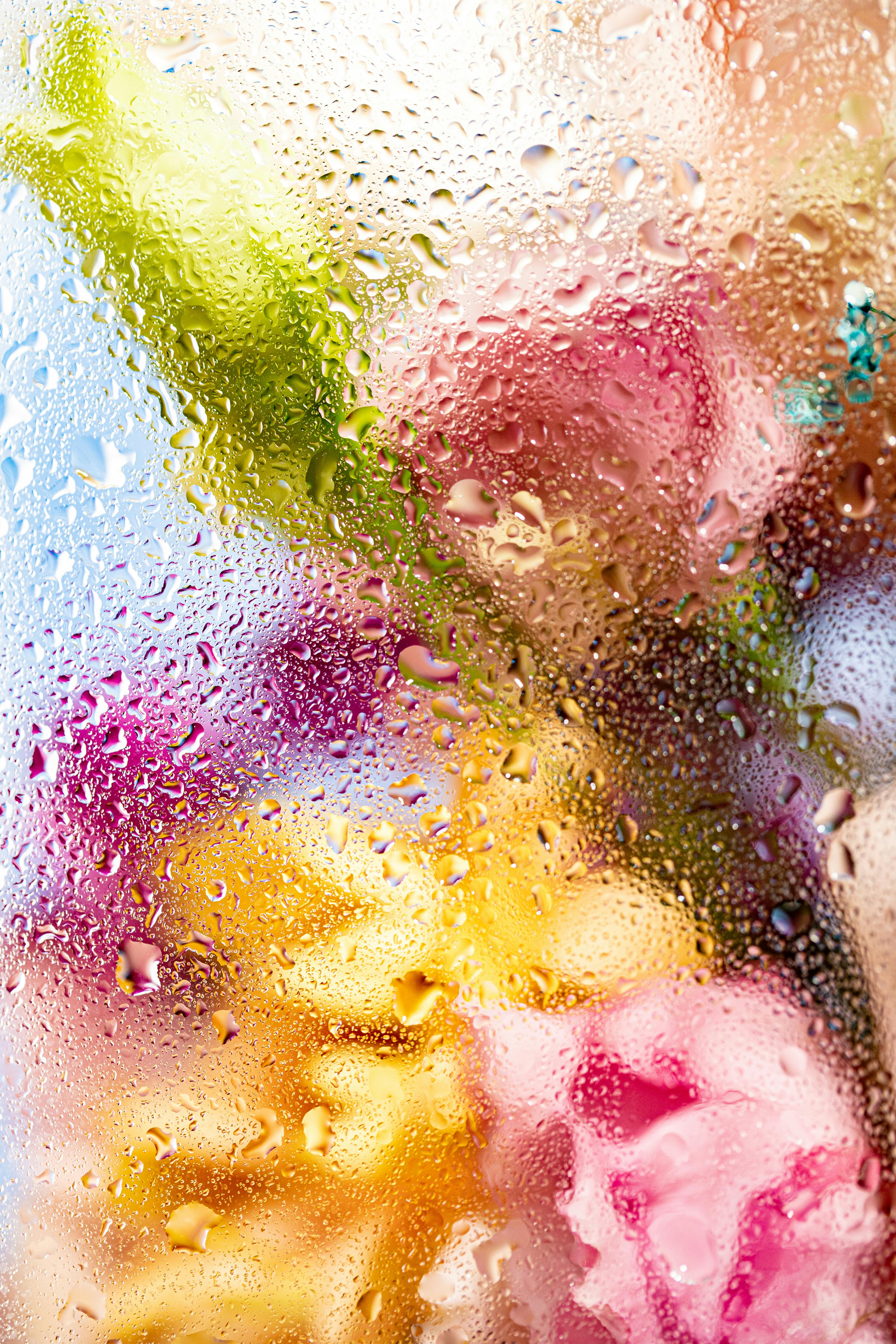 The Evolutionary Advantage of Wet Noses in Dogs: Nature’s Design Explained