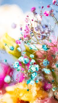 Vibrant flowers with dewdrops, creating a dreamy, abstract look.