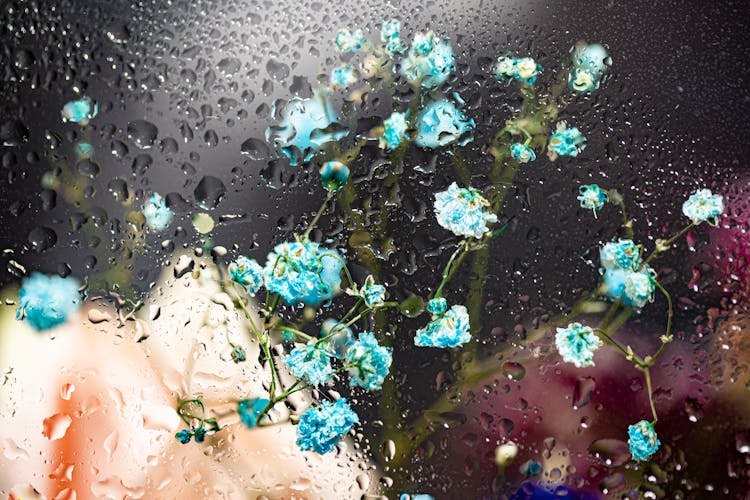 Blue Flowers Behind A Wet Glass