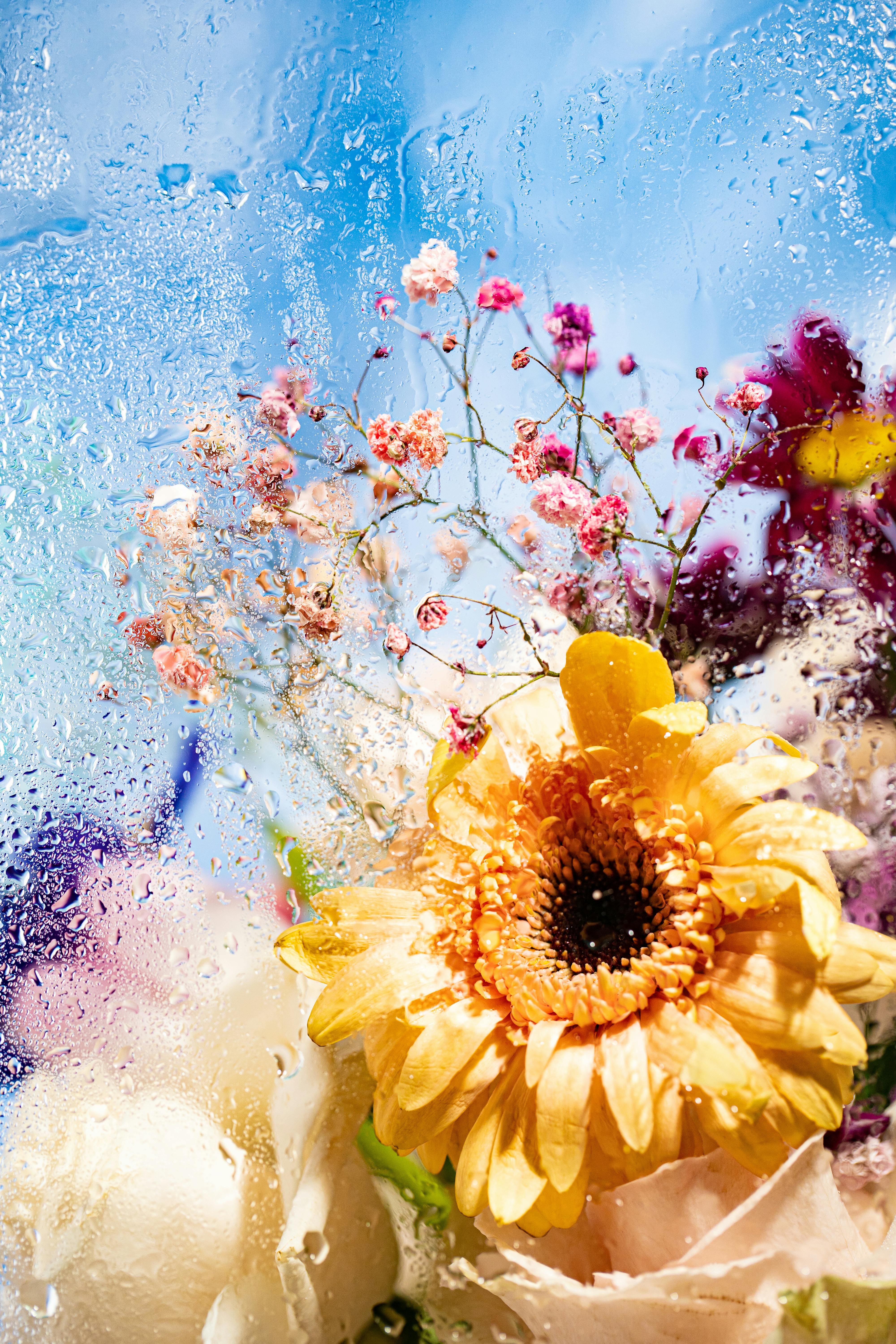 colorful flowers behind wet window glass