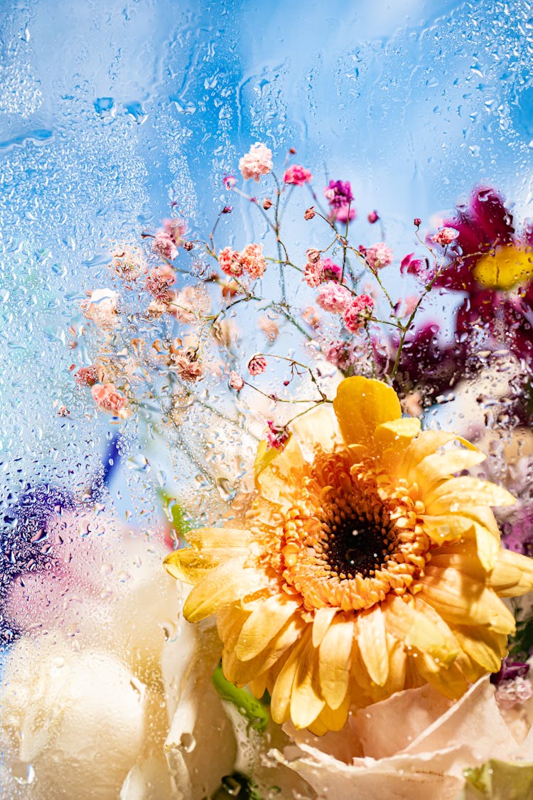 Colorful Flowers Behind Wet Window Glass