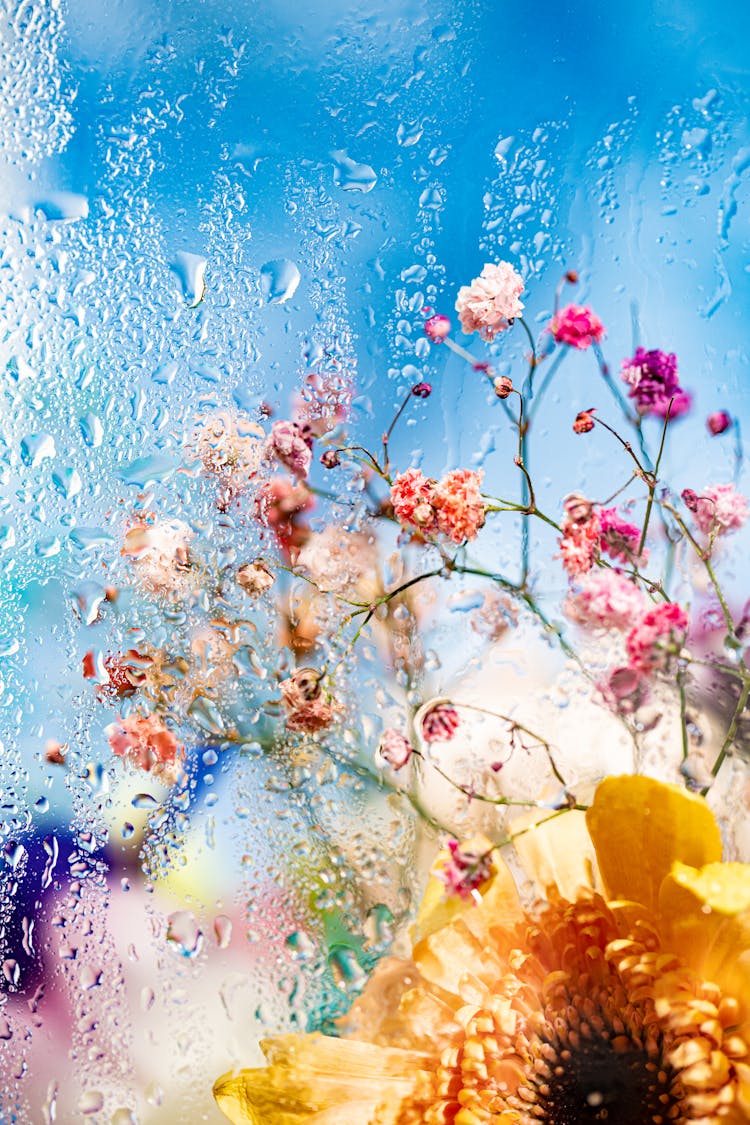 Flowers Behind Wet Window Glass