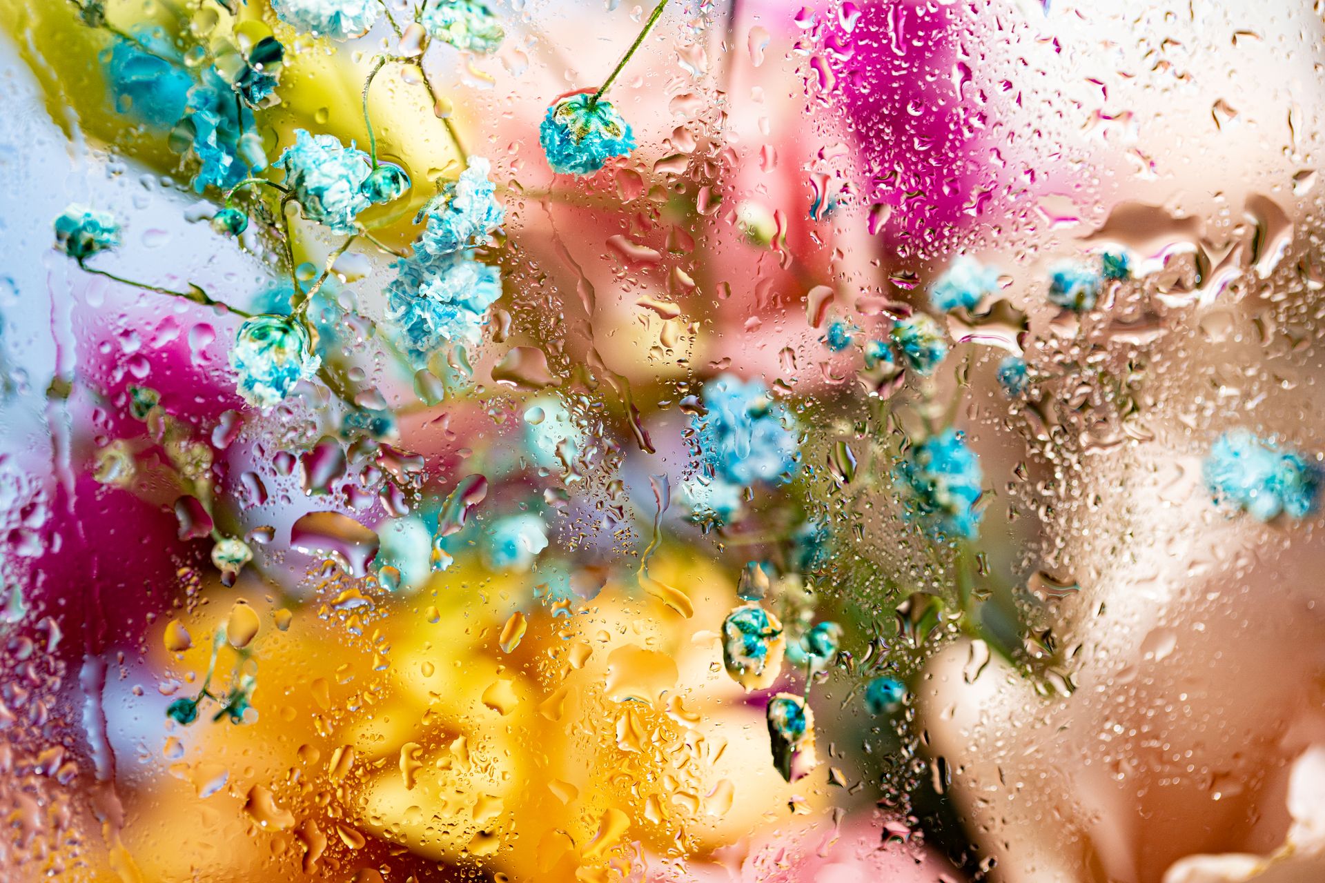 Fresh Flowers Behind Wet Glass Panel