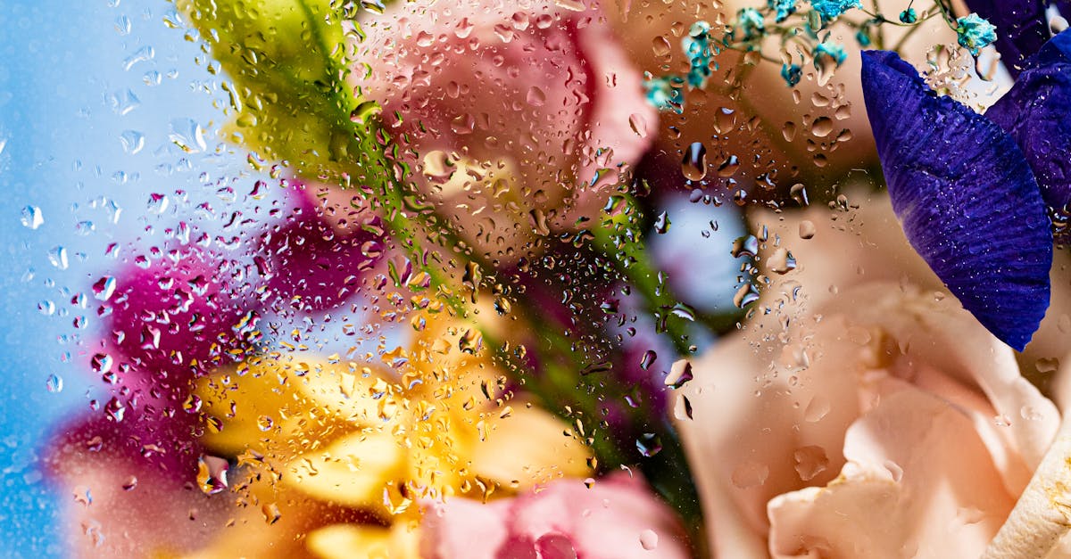 How long can roses stay out of water
