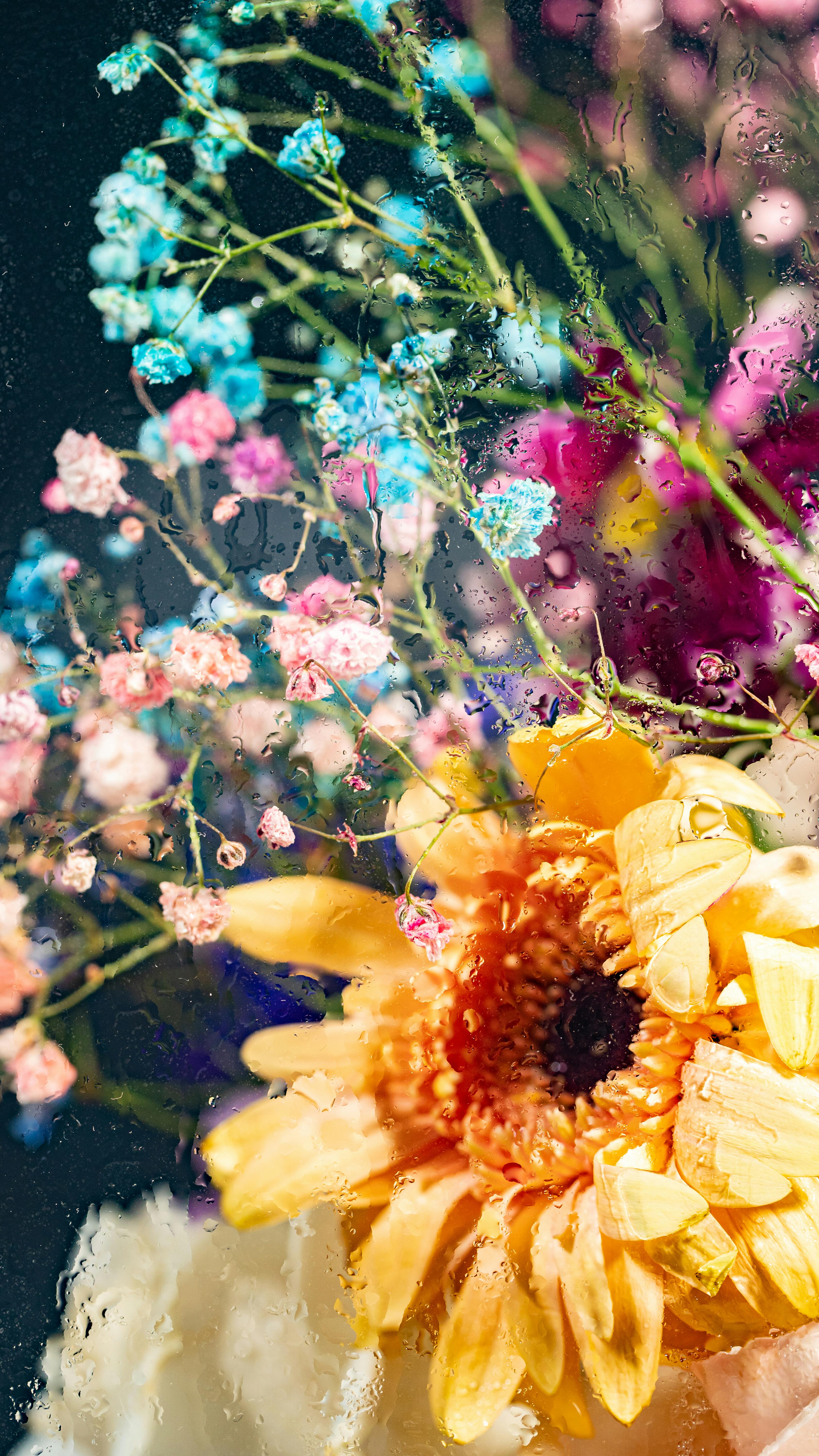 [ColoSach]-close-up-of-a-colorful-floral-arrangement-with-water-droplets,-showcasing-nature's-beauty.