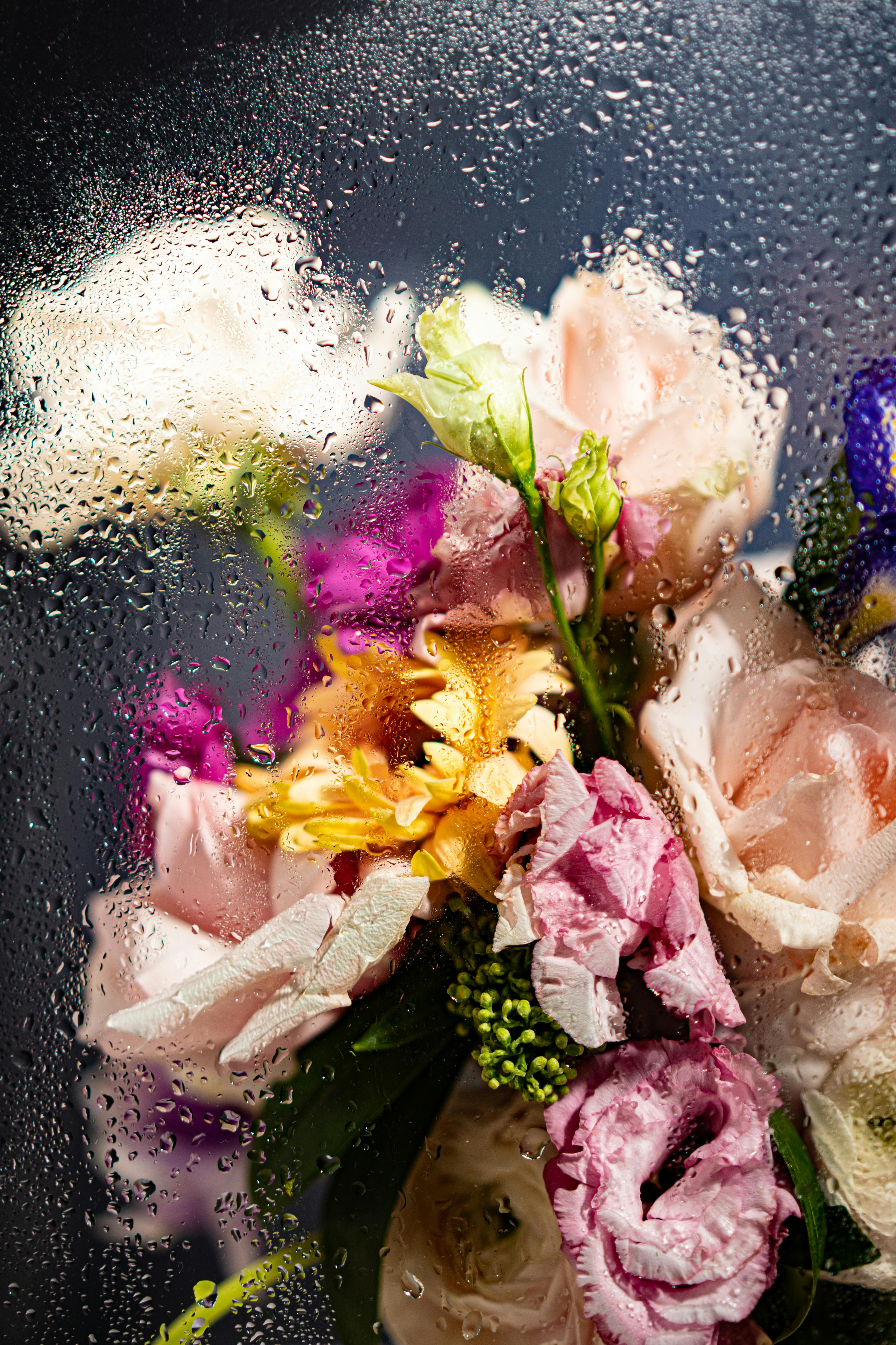A Bouquet of Flowers Behind a Wet Glass Panel  Free Stock Photo