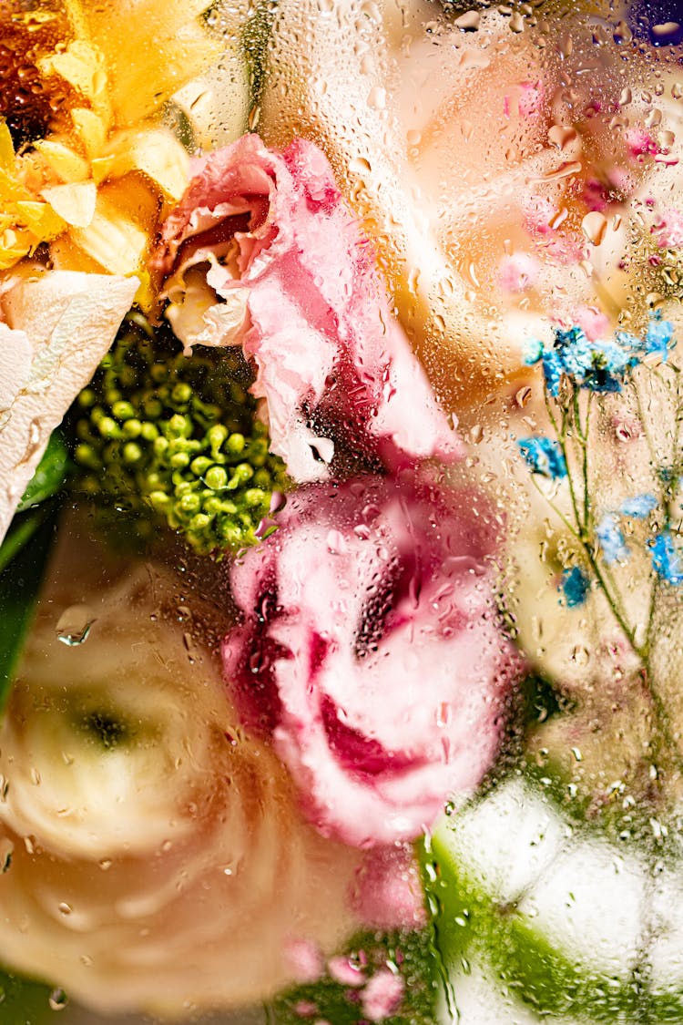 Flowers Behind A Wet Glass