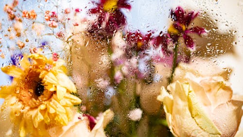 Flower Arrangement Behind a Blurry Glass