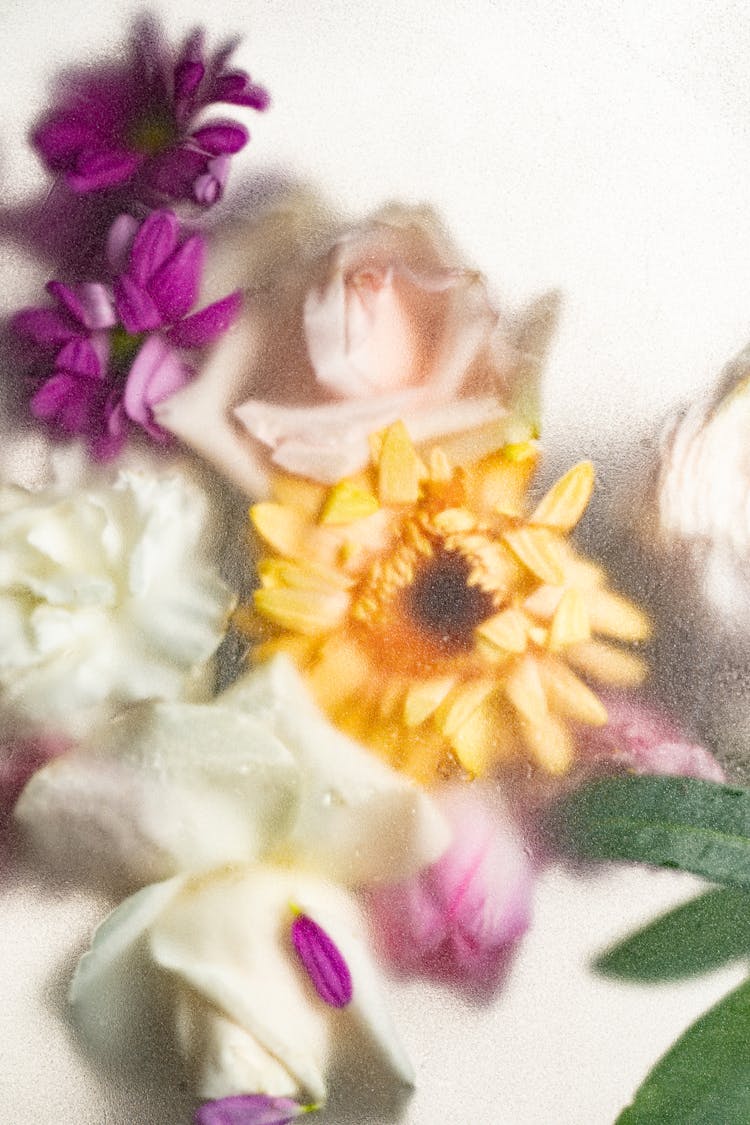 Flowers Behind Wet Glass