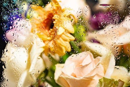 Colorful Bouquet behind a Wet Glass 