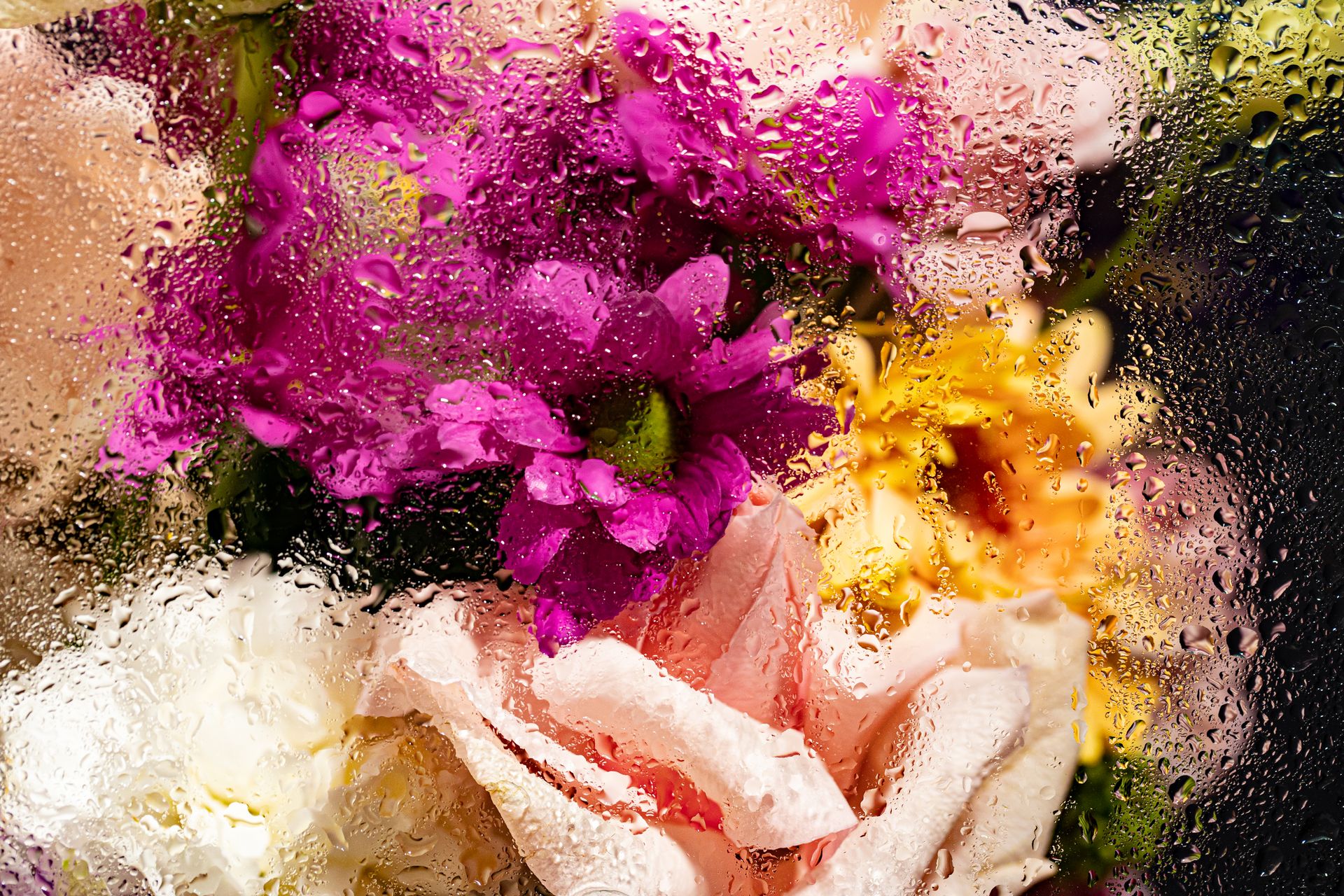 Beautiful Flowers Behind Wet Glass Panel