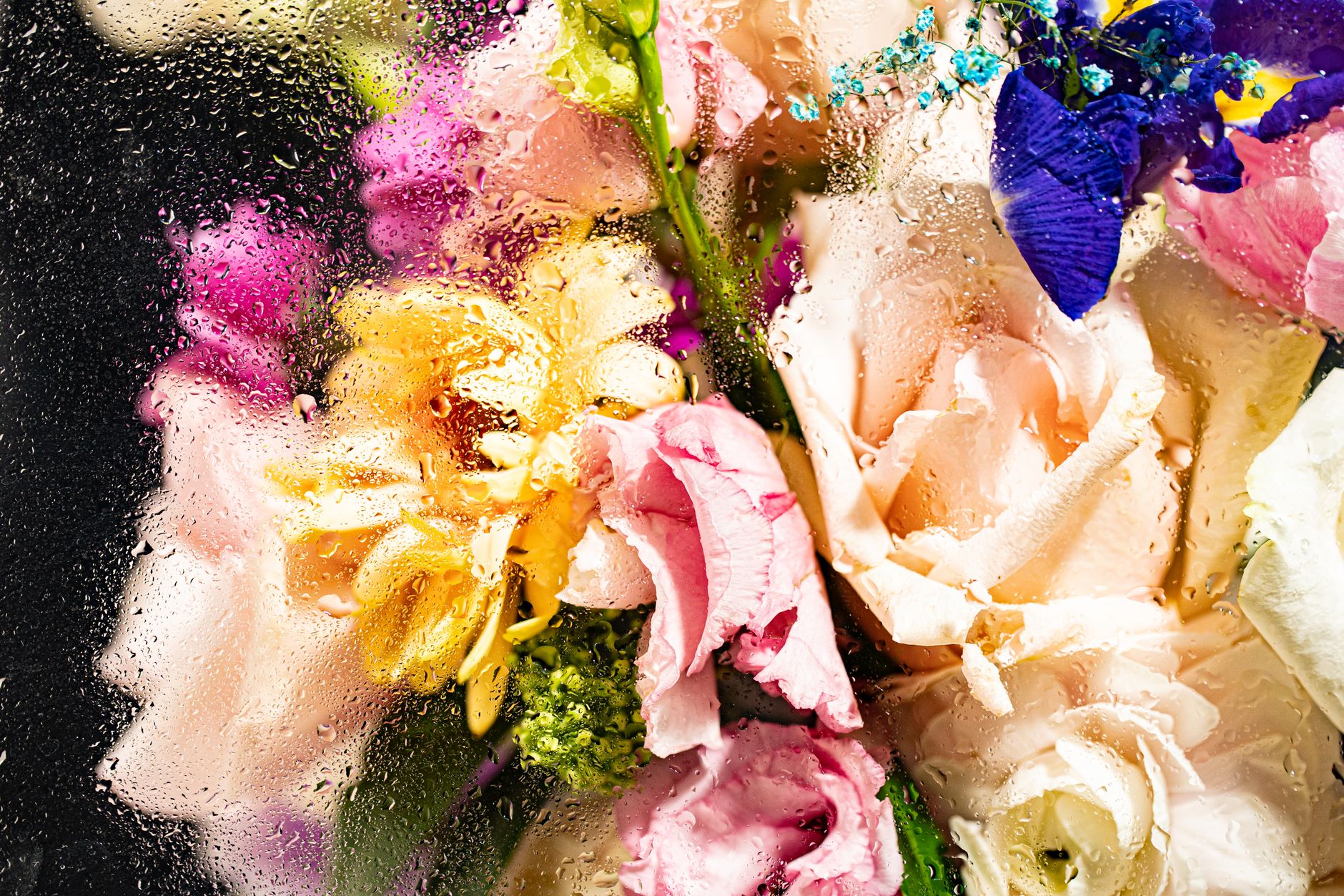 Power, Corruption & Lies