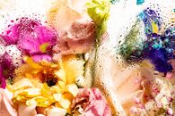 Colorful floral arrangement viewed through rain-speckled glass for a fresh, dynamic effect.
