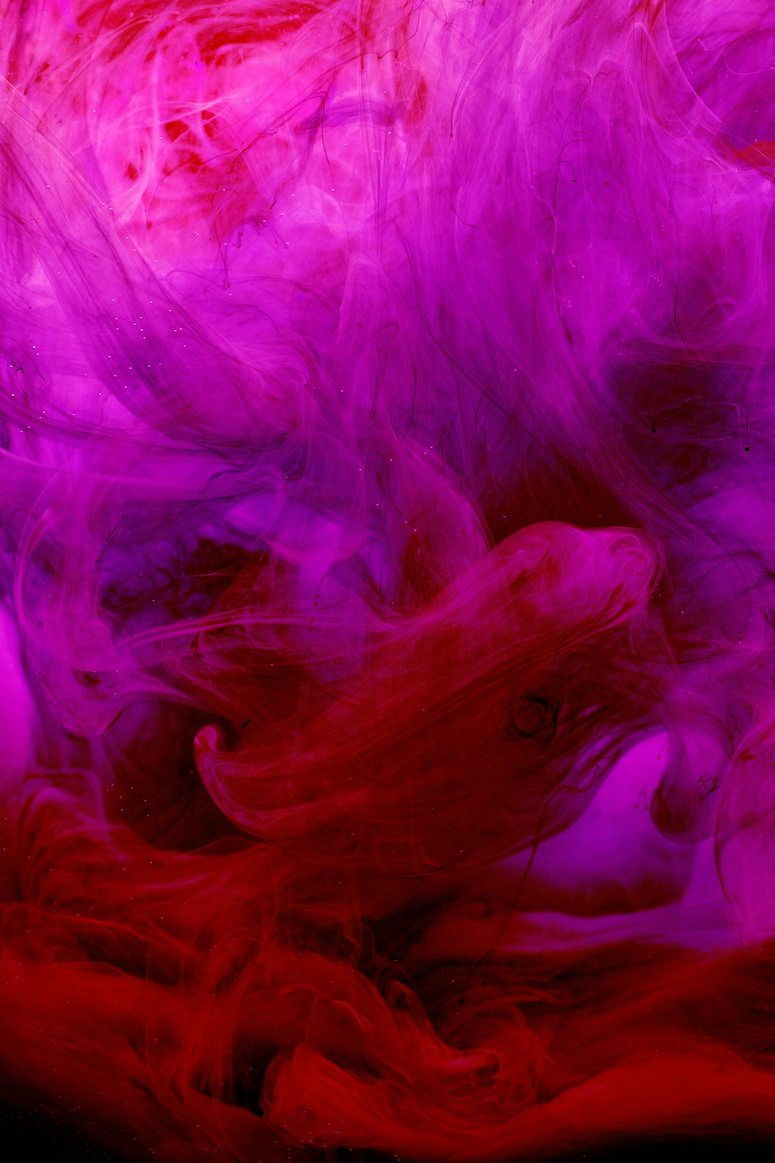 Purple and Red Smoke Illustration · Free Stock Photo