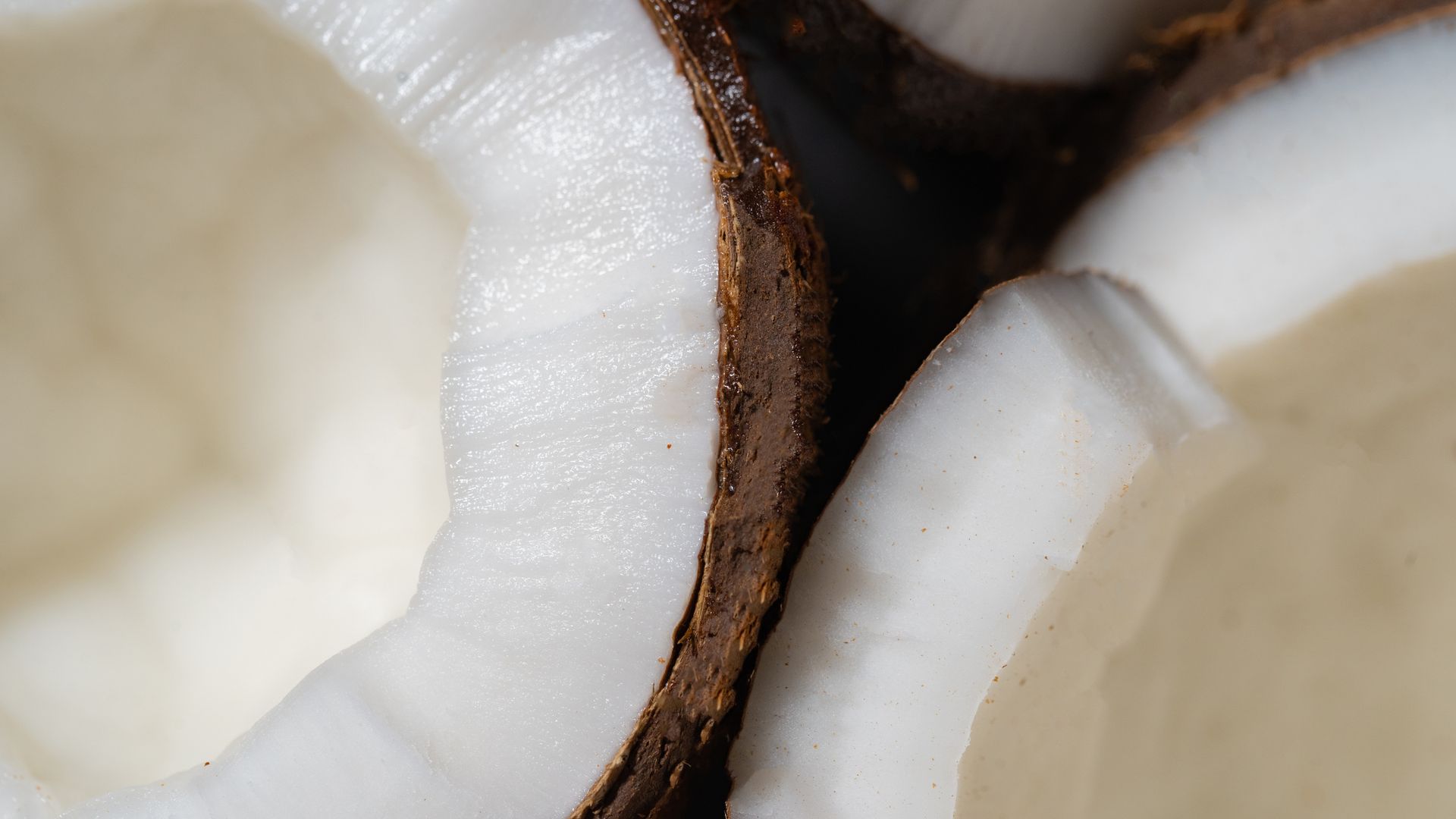 Copra in Shells in Close-up Shot