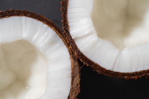 Free Detailed close-up of fresh coconut halves showing white kernel and rough shell. Stock Photo