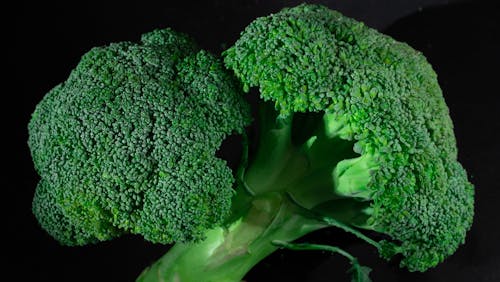 Gratis Broccoli Verdi Su Sfondo Bianco Foto a disposizione