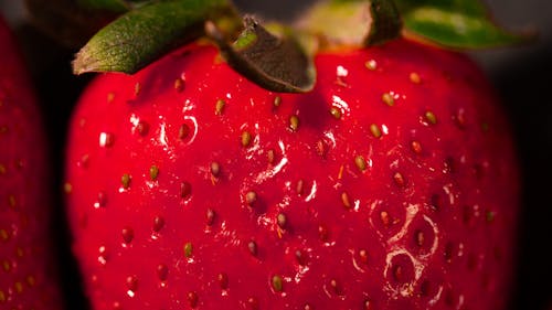 Free Red Strawberry Fruit in Close Up Photography Stock Photo