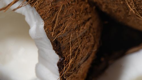 Free Detailed view of fresh coconut shell with white flesh, highlighting texture. Stock Photo