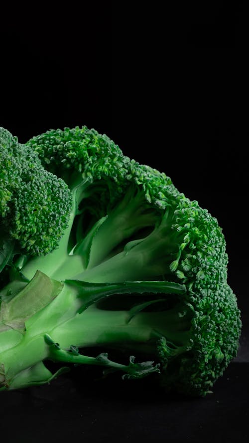 Free Fresh Green Broccoli on Black Background Stock Photo
