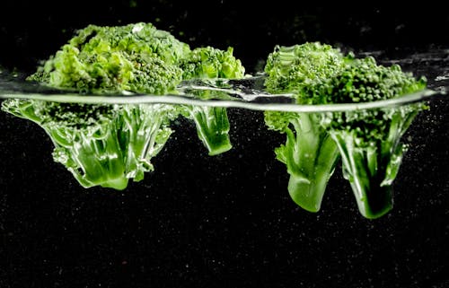 Free Fresh Broccolis Floating on Water Stock Photo
