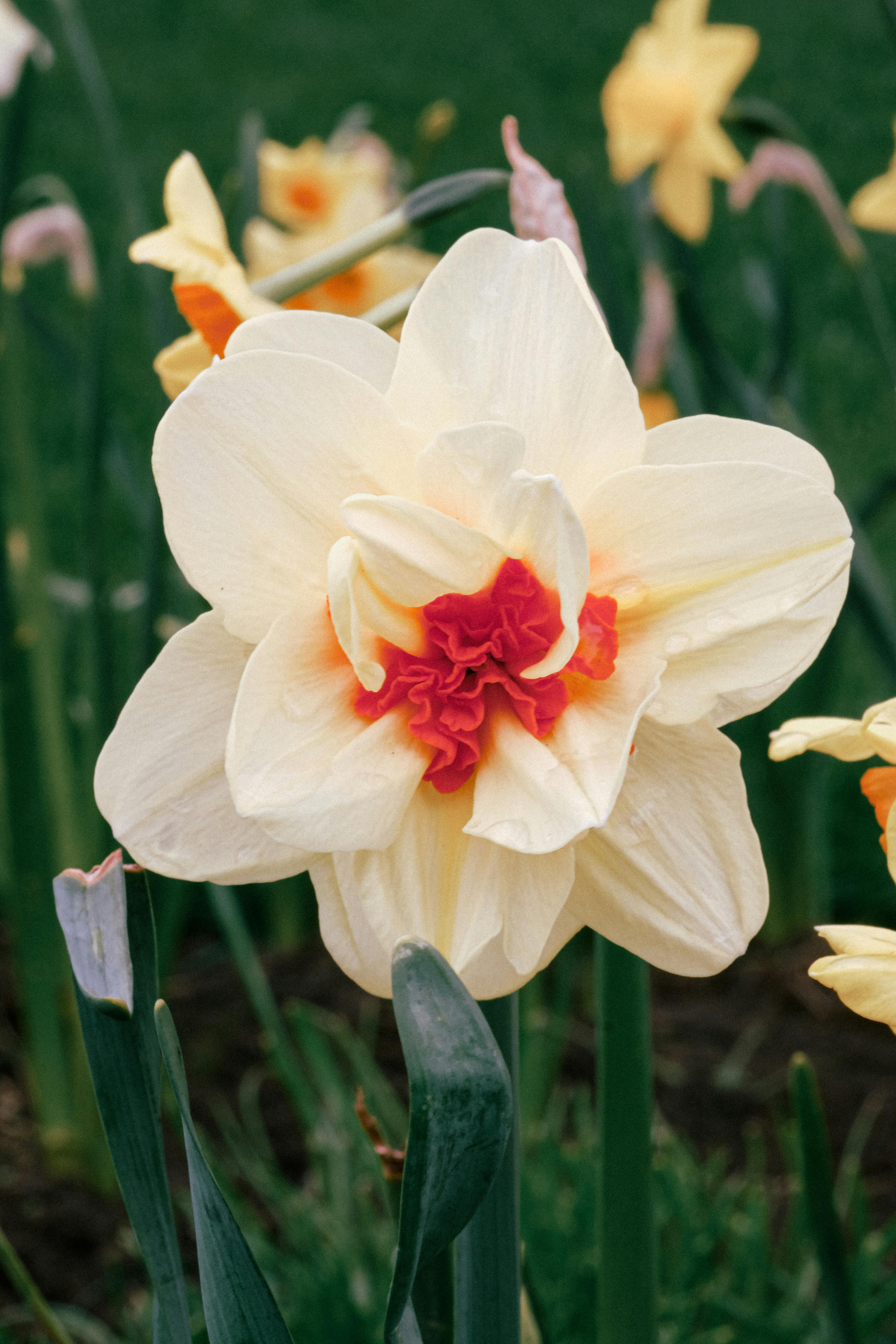 Cara membersihkan mainan bayi