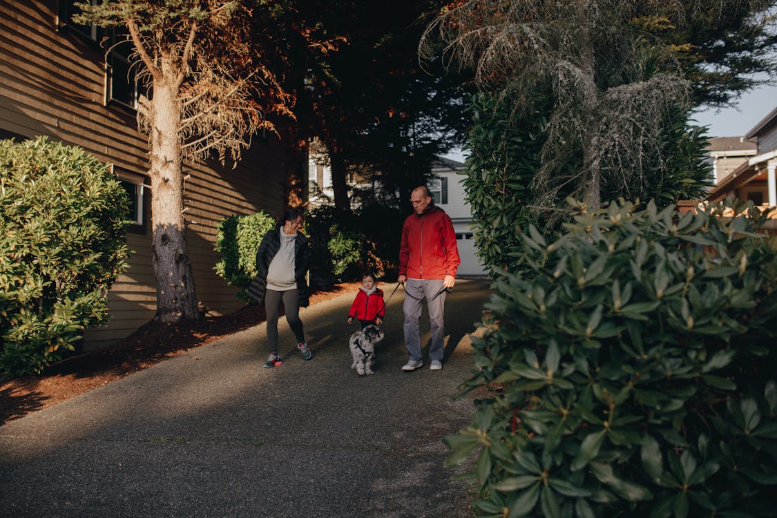 Free Man Walking The Dog With His Family Stock Photo
