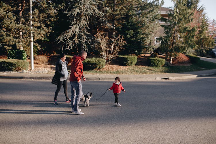 A Family Walking In The Street With Their Dog