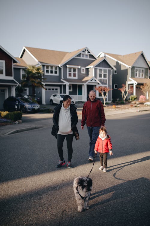 Un enfant promenant le chien avec ses parents