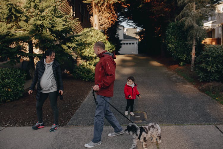 A Family Walking Outdoors With Their Dog