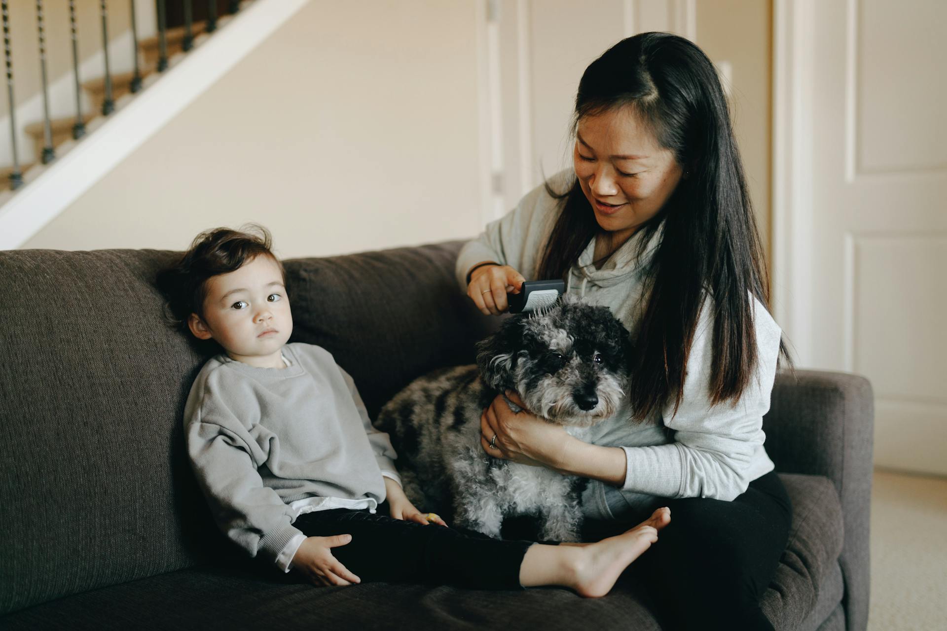 Woman Combing The Dog