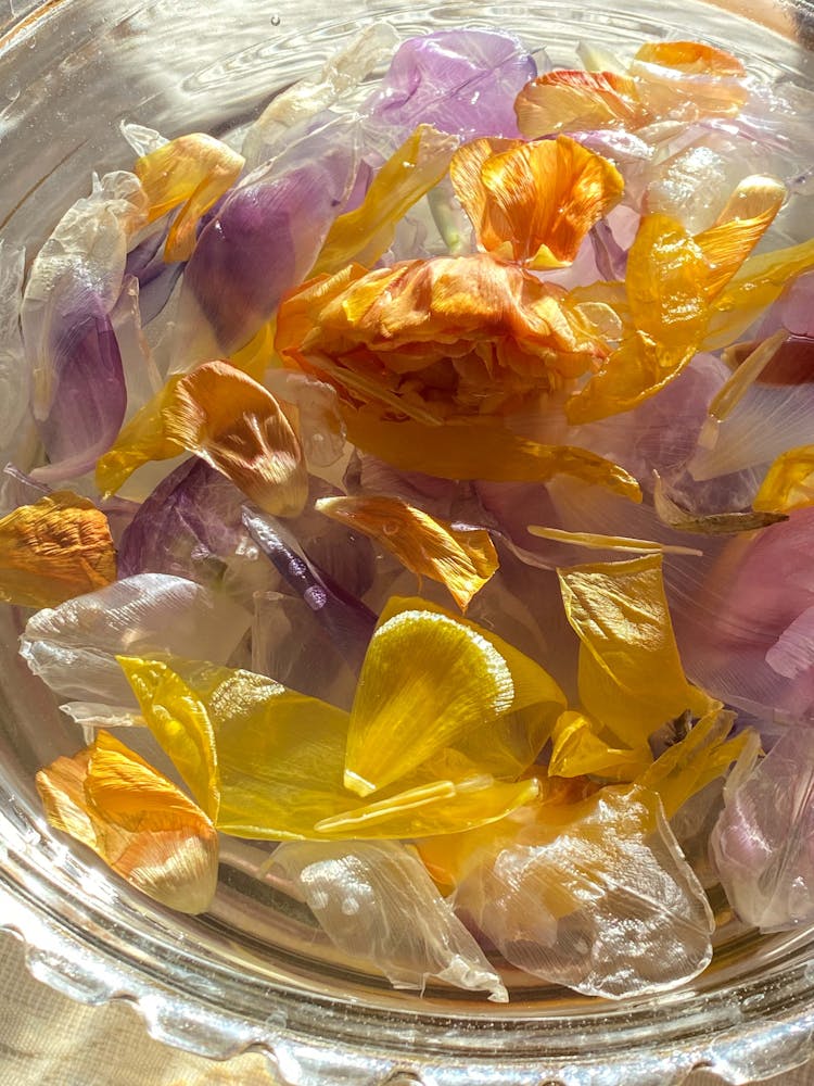 Colorful Petals In Glass Bowl In Sunlight