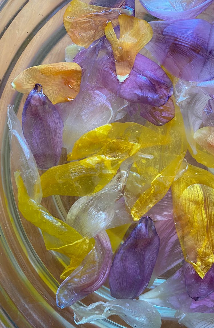 Heap Of Colorful Petals In Water In Bowl